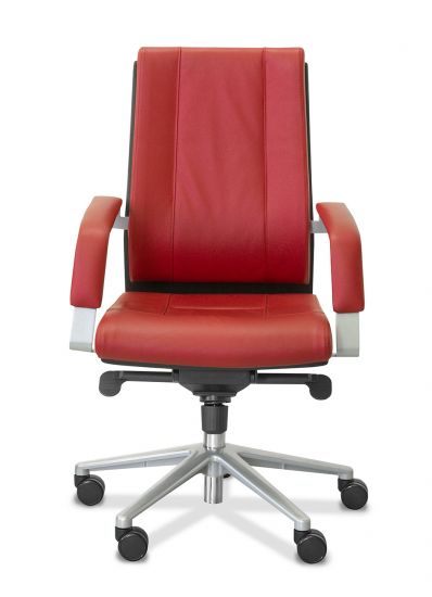 Просмотр в 360 градусов